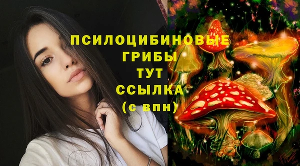 бошки Алексеевка