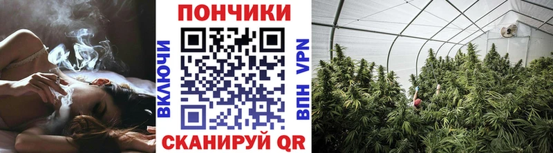 Канабис план  цены наркотик  Устюжна 